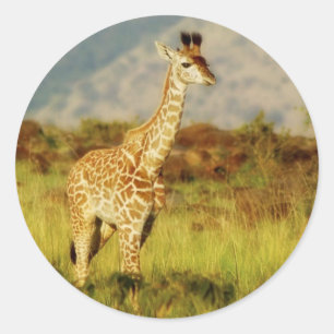 Etiquetas dos animais selvagens do girafa do bebê