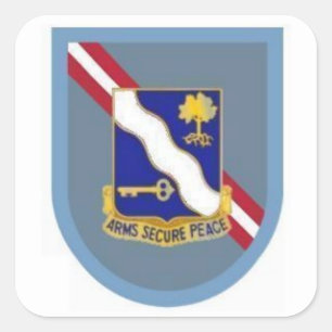 Etiquetas dos Bde dos Inf 36th Abn dos Bn do DUI ø