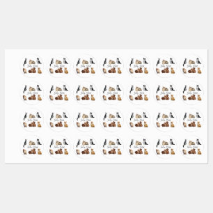 Etiquetas embalagem de gatos, Encapsulamento de gatos engra