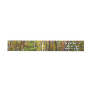 Etiquetas Fall Forest I Autumn Landscape Photoshop