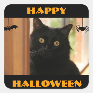 Etiquetas felizes do Dia das Bruxas do gato preto