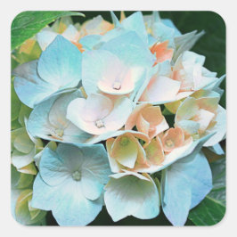 Etiquetas florais/selos do Hydrangea coral azul do
