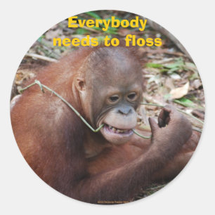Etiquetas Flossing dos cuidados dentários dos