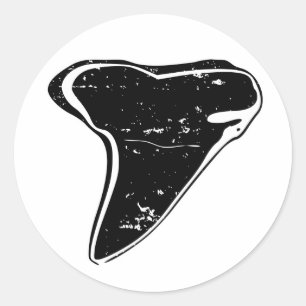 Etiquetas fossilizadas preto do dente do tubarão