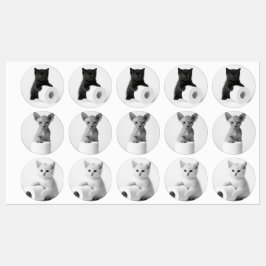 Etiquetas Gatos Curiosos Estéticos Explorando Papel Higiênic