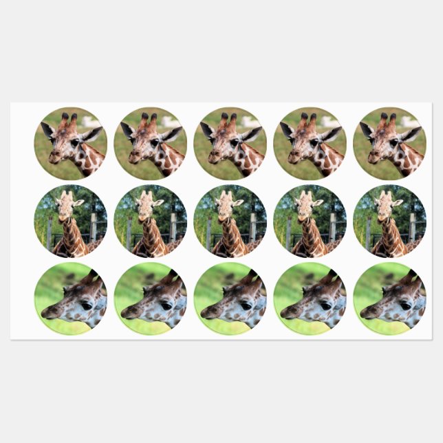 Etiquetas Girafa (Folha)