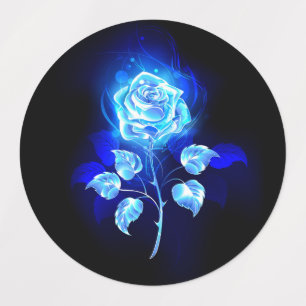 Etiquetas Gravação de Rosa Azul