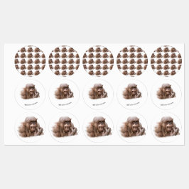 Etiquetas Jambo The Hairless Chimp (mude para seu próprio te