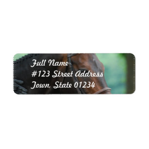 Etiquetas lindos do enviamento do cavalo de