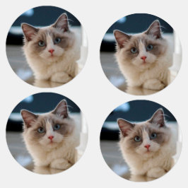 Etiquetas Lindos Rótulos de Gato