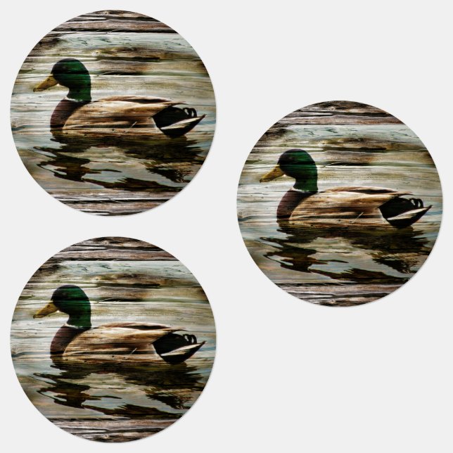 Etiquetas Mallard Duck (Grupo)