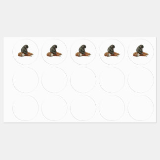 Etiquetas Monkey Punch, Baby Monkey Orangutan Hug