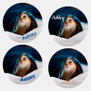 Etiquetas Orange Tabby Cat