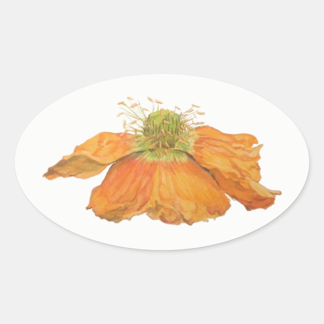 Etiquetas ovais da papoila islandêsa alaranjada, (Frente)