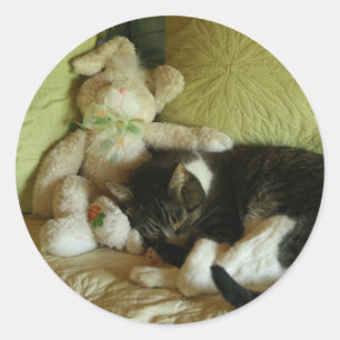 Etiquetas para amigos coelhos e gatinhos