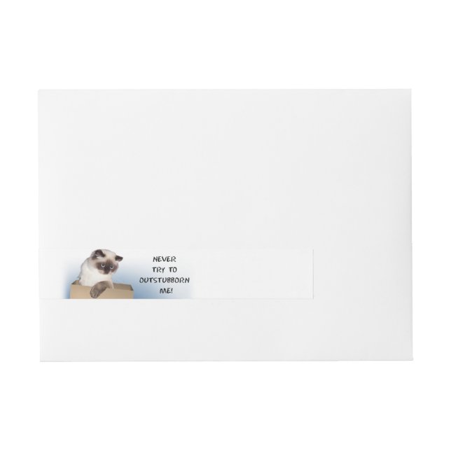 Etiquetas Para Envelope Cat in Box (Frente)