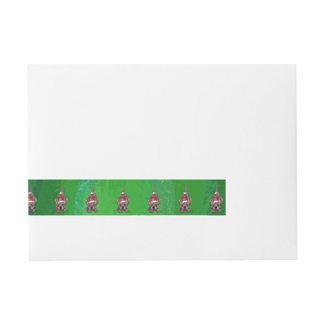 Etiquetas Para Envelope Temp (Frente)