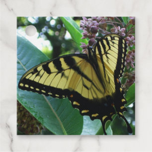 Etiquetas Para Lembrancinhas Borboleta I de Swallowtail em Milkweed em Shenando