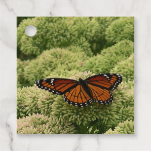 Etiquetas Para Lembrancinhas Borboleta Viceroy Belo Caráter Fotografia