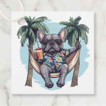 Bulldog Francês em Top Havaiano