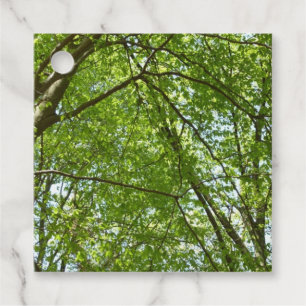 Etiquetas Para Lembrancinhas Canopia de Primavera deixa cena ecológica