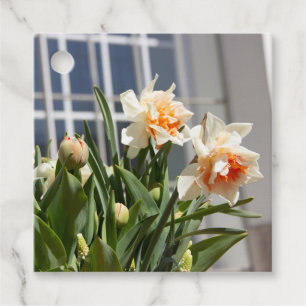 Etiquetas Para Lembrancinhas Daffodils fodils fodils primavera