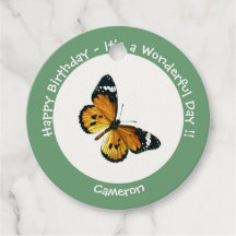 É um Tigre Comum / Festa de Borboleta Rainha Afric