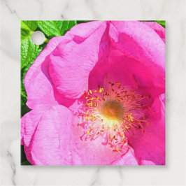 Etiquetas Para Lembrancinhas Foto Rosa Rosa Selvagem Fidedigna no Verso da Bíbl