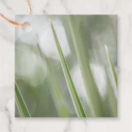 Etiquetas Para Lembrancinhas Foto verde-pontiaguda da planta