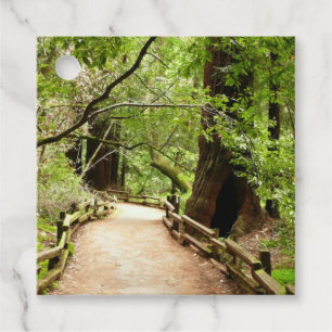 Etiquetas Para Lembrancinhas Fotografia da Natureza do Caminho Muir Woods II