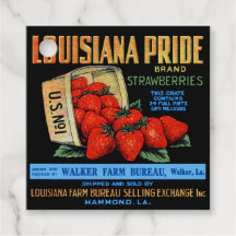 Louisiana Pride Strawberry