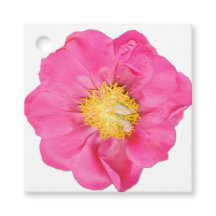 Marcas de Favor Quadradas Botânicas Flor de Peônia