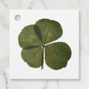 Etiquetas Para Lembrancinhas O trevo real de 4 folhas de St Patrick obtem o
