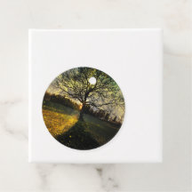 Paisagem com sonhos de vagalumes mágicos