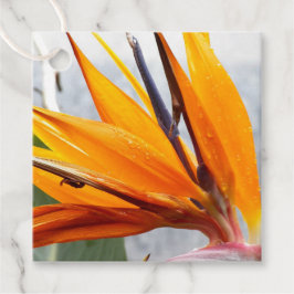 Etiquetas Para Lembrancinhas Pássaro Tropical do Casamento Floral do Paraíso