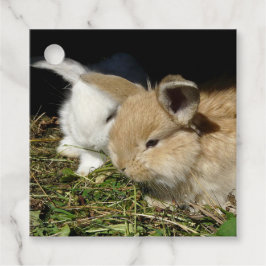 Etiquetas Para Lembrancinhas Pequenos coelhos fofos bonitos