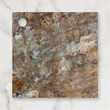 Praia de Rocha Áspera Natural Concha Marinha Estiv