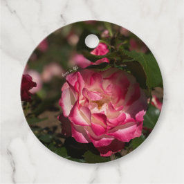 Etiquetas Para Lembrancinhas Rosa Rosa e Branca