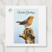 Saudações de Inverno. Robin cantando