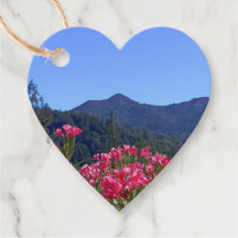 Tamalpais com Flores Rosa