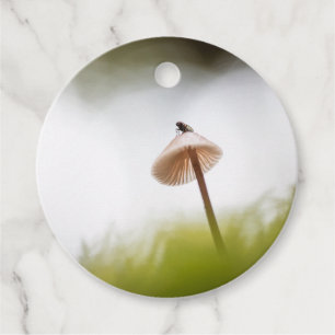 Etiquetas Para Lembrancinhas Tiny Mushroom Nature Foto