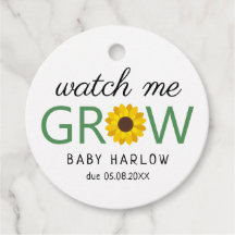 Veja-me cultivar girassol