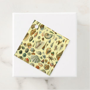 Etiquetas Para Lembrancinhas Vintage Mollusk Shell Seashell Art
