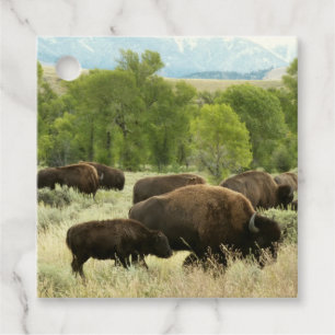 Etiquetas Para Lembrancinhas Wyoming Bison Nature