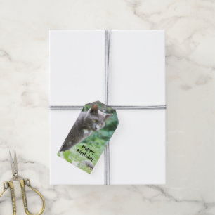 Etiquetas para presentes de aniversário de na mod
