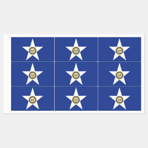 Etiquetas Patrióticas com bandeira de Houston City