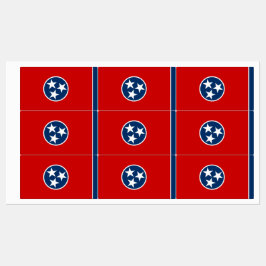 Etiquetas Patrióticas com bandeira do Estado do Te