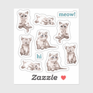 Etiquetas Personalizadas de Ilustração de Gato Bon