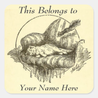 Etiquetas Pessoais de Gato e Esquilo