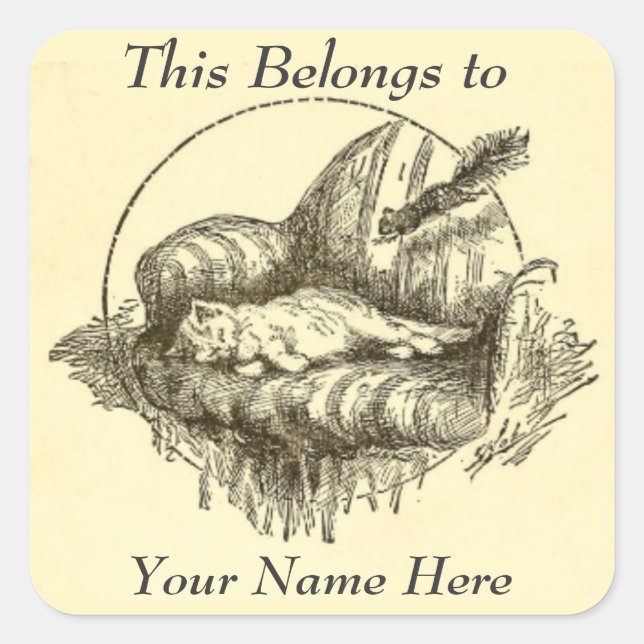 Etiquetas Pessoais de Gato e Esquilo (Frente)